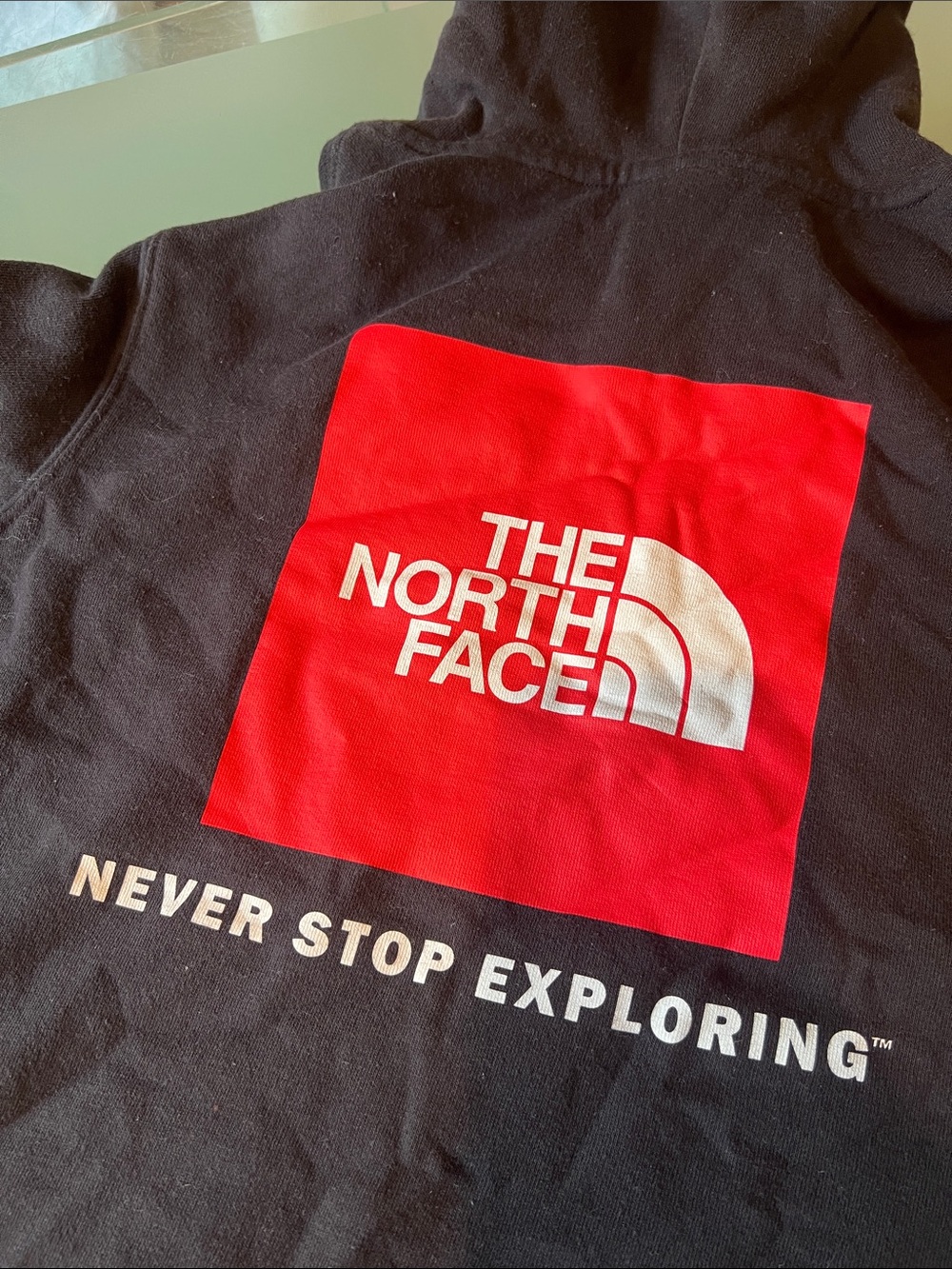 The North Face Black Sweatshirt with Red Logo Block